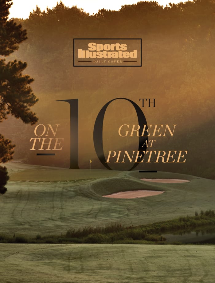 dCOVpinetree_V_Text_Logo